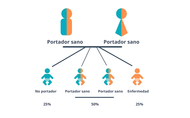 test de compatibilidad genética